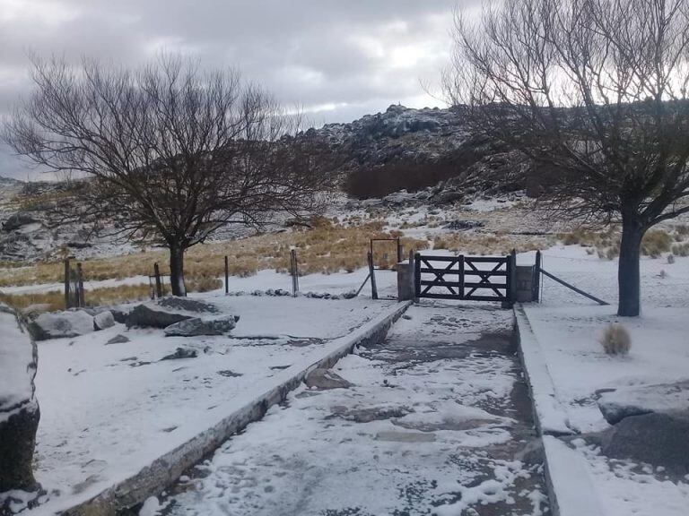 Las fotos de la nevada en el Champaquí.