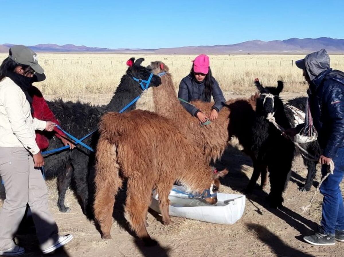 Viajeros se interesan en propuestas de turismo comunitario en Jujuy