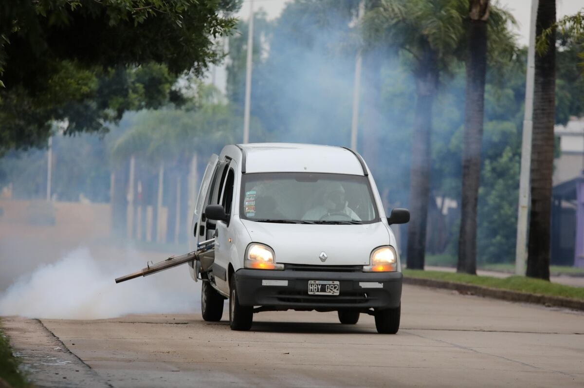 Fumigarán en los barrios y hay internada una paciente con dengue hemorrágico