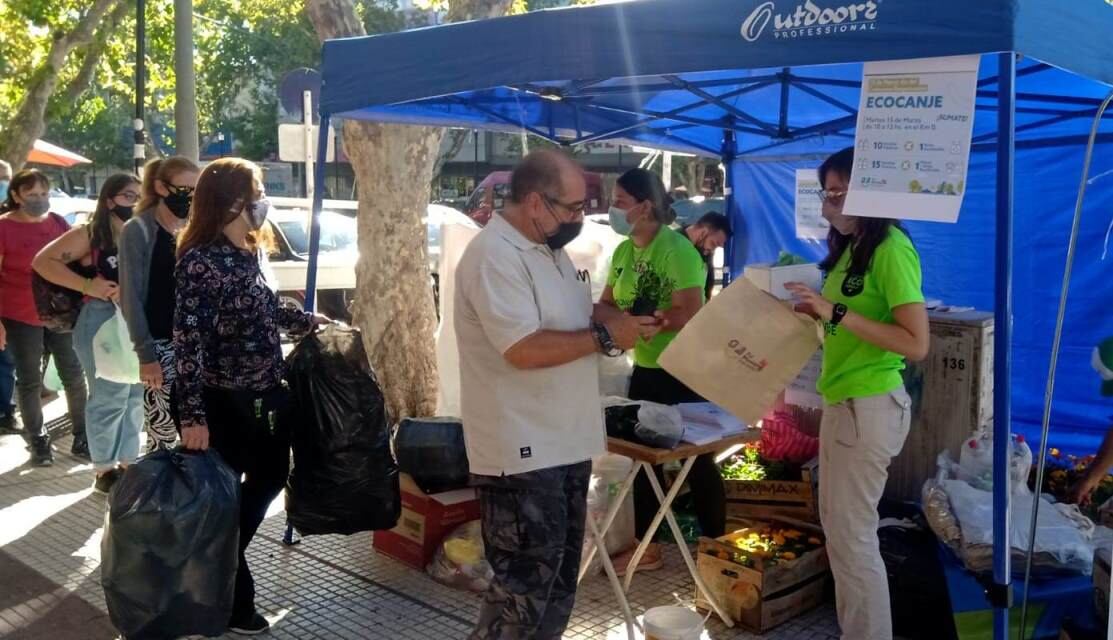 Canjeaban botellas de plástico por bolsas y flores.