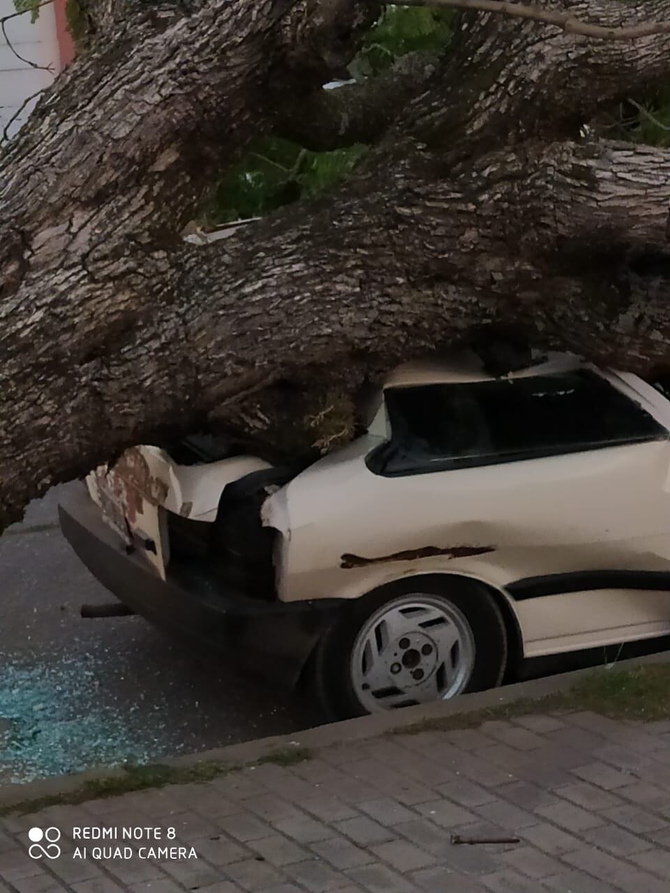 Fuerte tormenta en Gualeguaychú