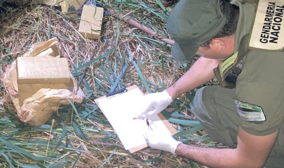 Incautan contrabando millonario de marihuana en Puerto Esperanza