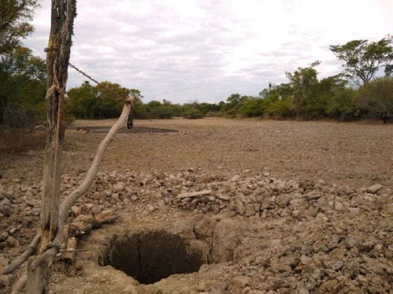 La sequía en Chaco afectó severamente a los agricultores y ganaderos.