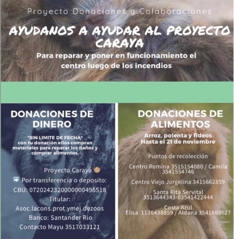 Colecta de alimentos para los animales, víctimas de los incendios forestales, del Proyecto Carayá