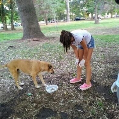 Cami, Mar y Mateo, los chicos azuleños que se volvieron virales por darle de comer a perros callejeros.