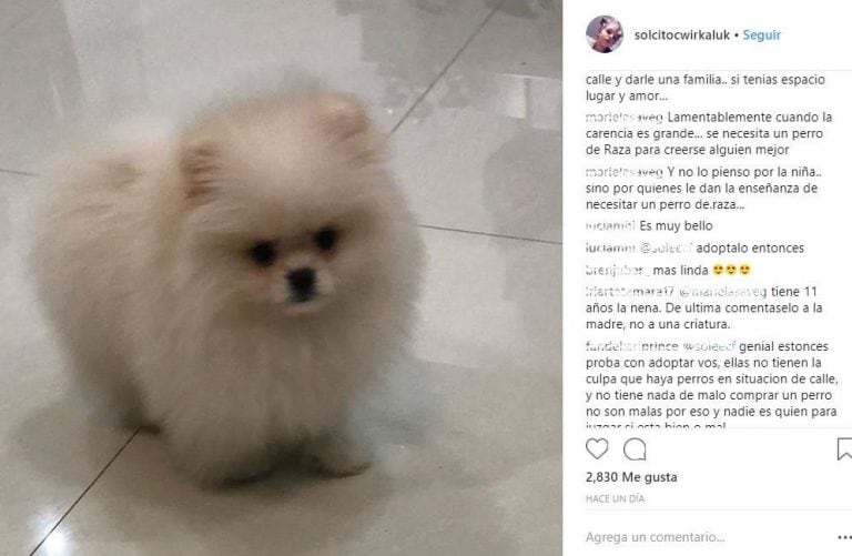 Fuertes críticas para Karina "La Princesita" por el perro de raza que le regaló a su hija por el cumpleaños.