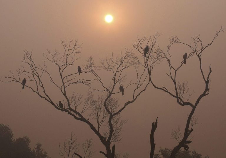 El amanecer es la parte del día más fría.