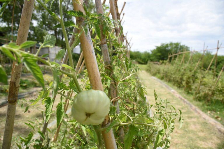 El Parque Ecológico está ubicado en un predio de 200 hectáreas (Municipalidad de La Plata)