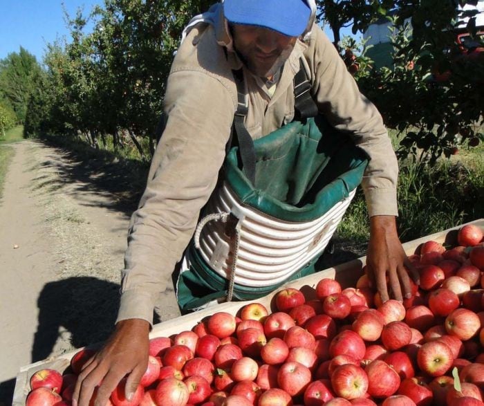 Trabajadores Rurales