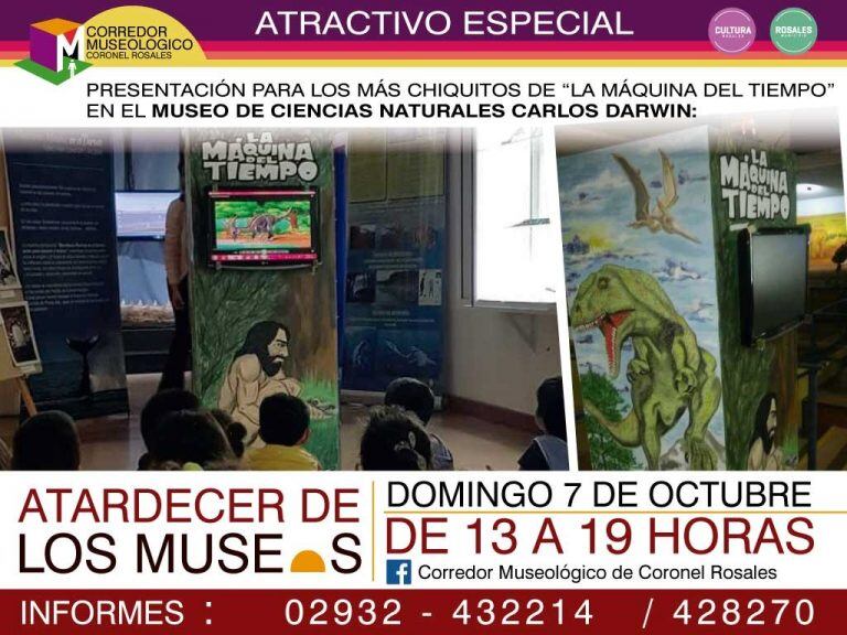 Actividades de los museos