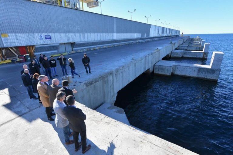 Está disminuyendo en un 33% la capacidad operativa del Muelle Almirante Storni en cuanto a buques de gran calado.