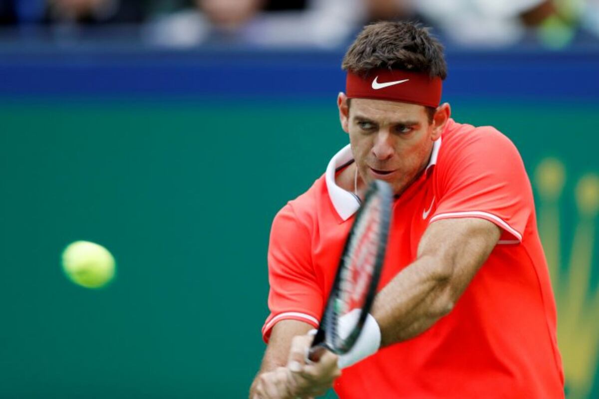 El saludo de fin de año de Del Potro llegó con malas noticias