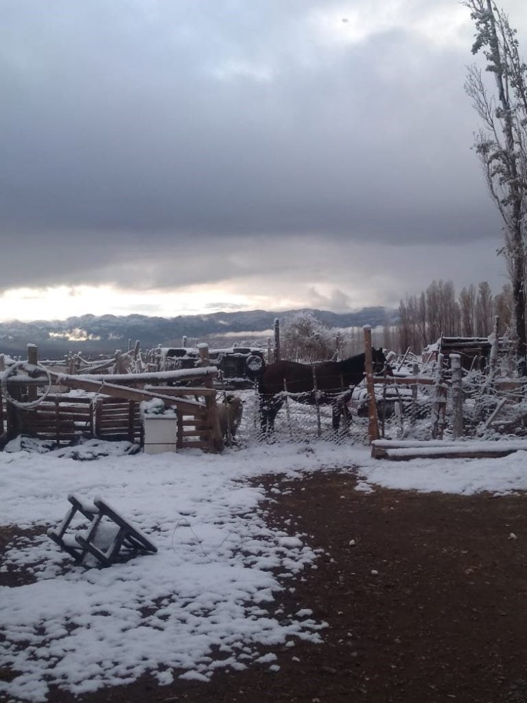 Varias zonas del departamento Iglesia, en San Juan, amanecieron nevadas.