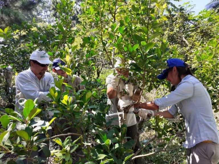 Las capacitaciones forman parte de una tarea conjunta entre el Inta y el Inym\u002E