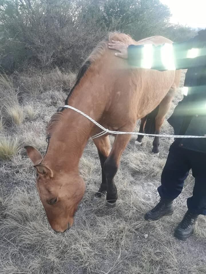 Accidente de tránsito en ruta E 34