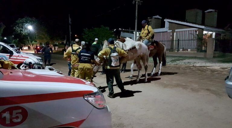 Bomberos estuvieron trabajando toda la noche intentando apagar los incendios