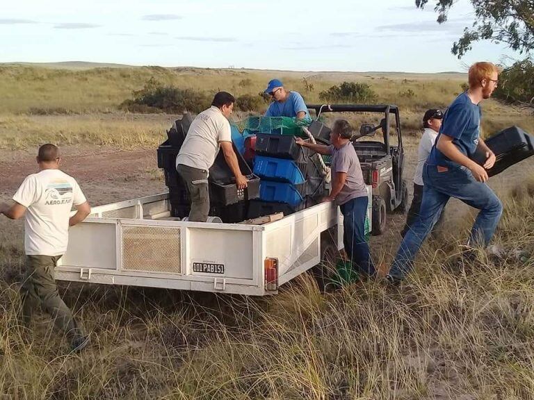 Voluntarios en ña zona de península Valdés