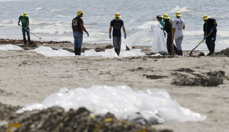 Impulsan un proyecto denominado “Cuidemos nuestro tipo de mar, salvemos nuestro planeta”.