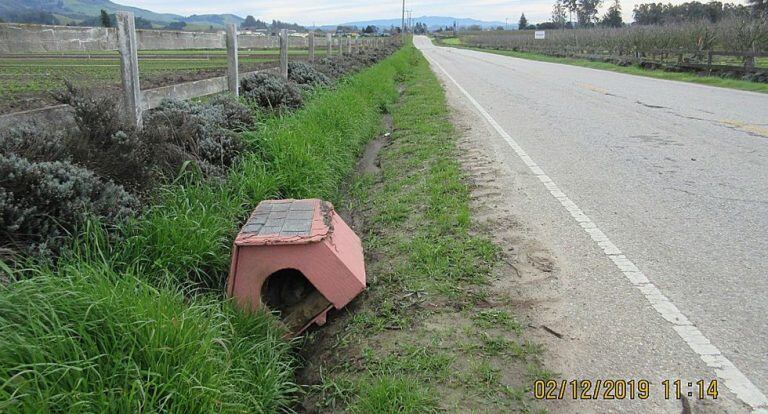 El lugar donde fue hallado el Pitbull abandonado.