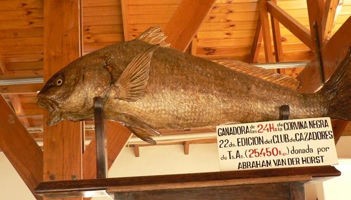 Corvina más grande de la historia de las 24 Horas de la Corvina Negra