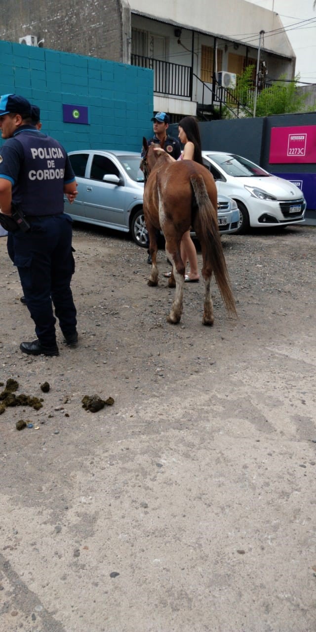 Una vecina se percató del maltrato de los carreros al animal y llamó a la Policía.