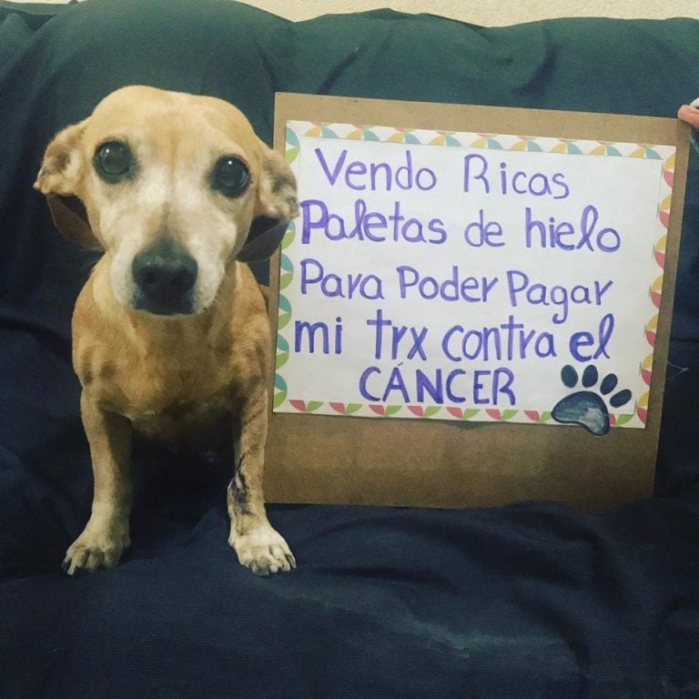 Becky tiene cáncer en las glandulas mamarias. (Facebook/CarolPerez)