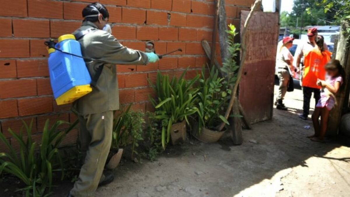 Murió otra persona por dengue en Rosario y hay más de 2500 casos en la provincia