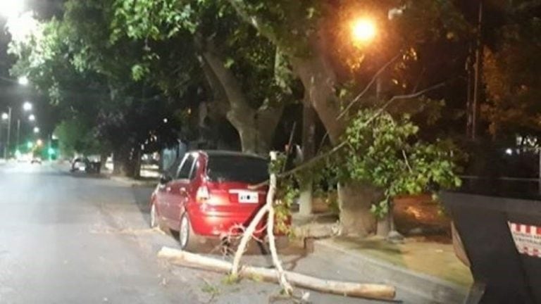 Los daños que dejó el viento Sur.