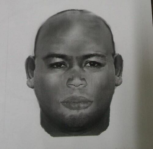 Identikit del abusador serial de Rosario. (MPA)