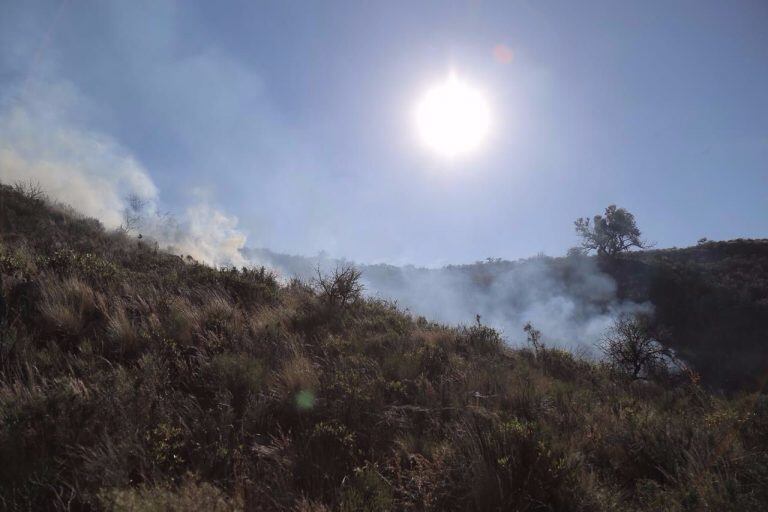 Controlaron un reinicio de incendio en la Cuesta del Gato.