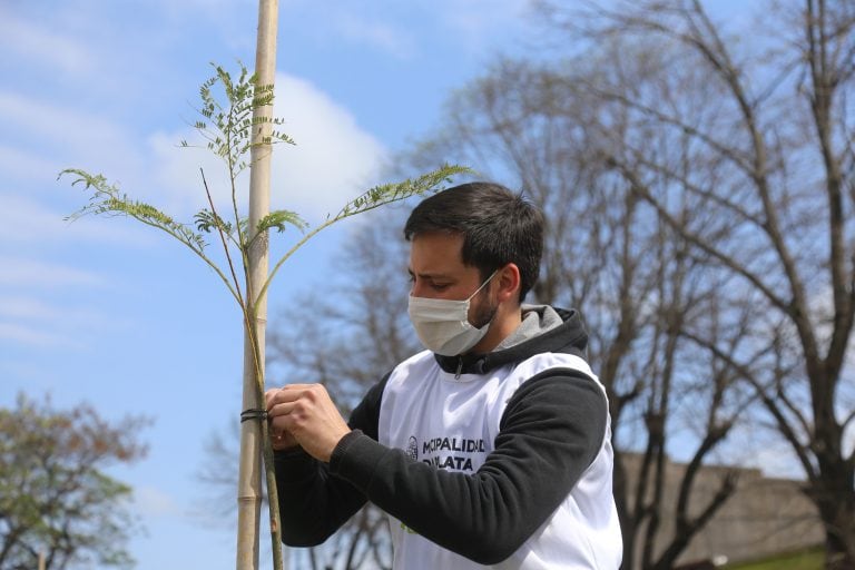 La Municipalidad de La Plata avanza con el Plan de Forestación 20-25 (Municipalidad de La Plata)