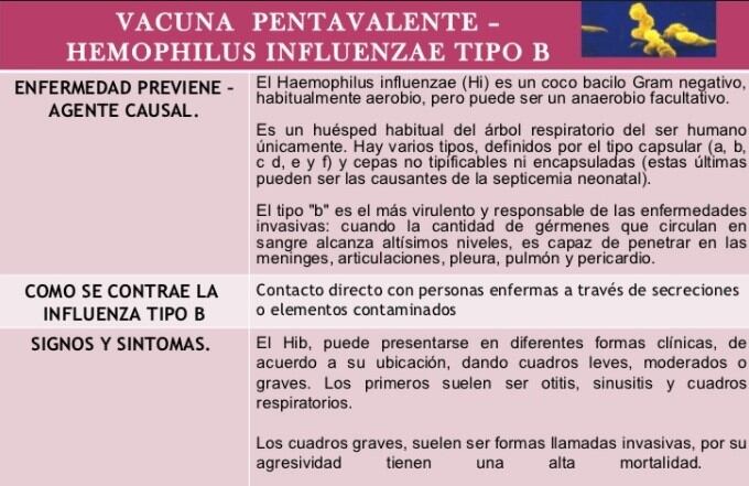 Detalles y prevención de la enfermedad.