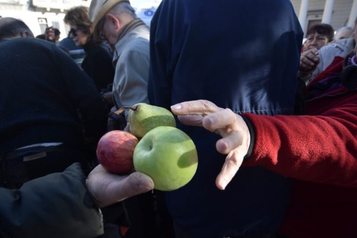 Productores rionegrinos donan 50 toneladas de fruta para comedores del AMBA