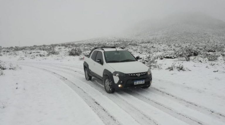 La nevada en La Pampa (Laura Vázquez)