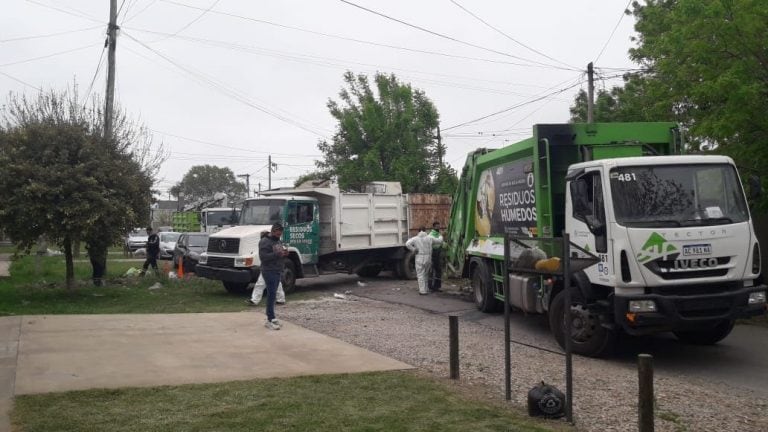 Zoonosis colocará cebos para eliminar roedores e insectos (Municipalidad de La Plata)