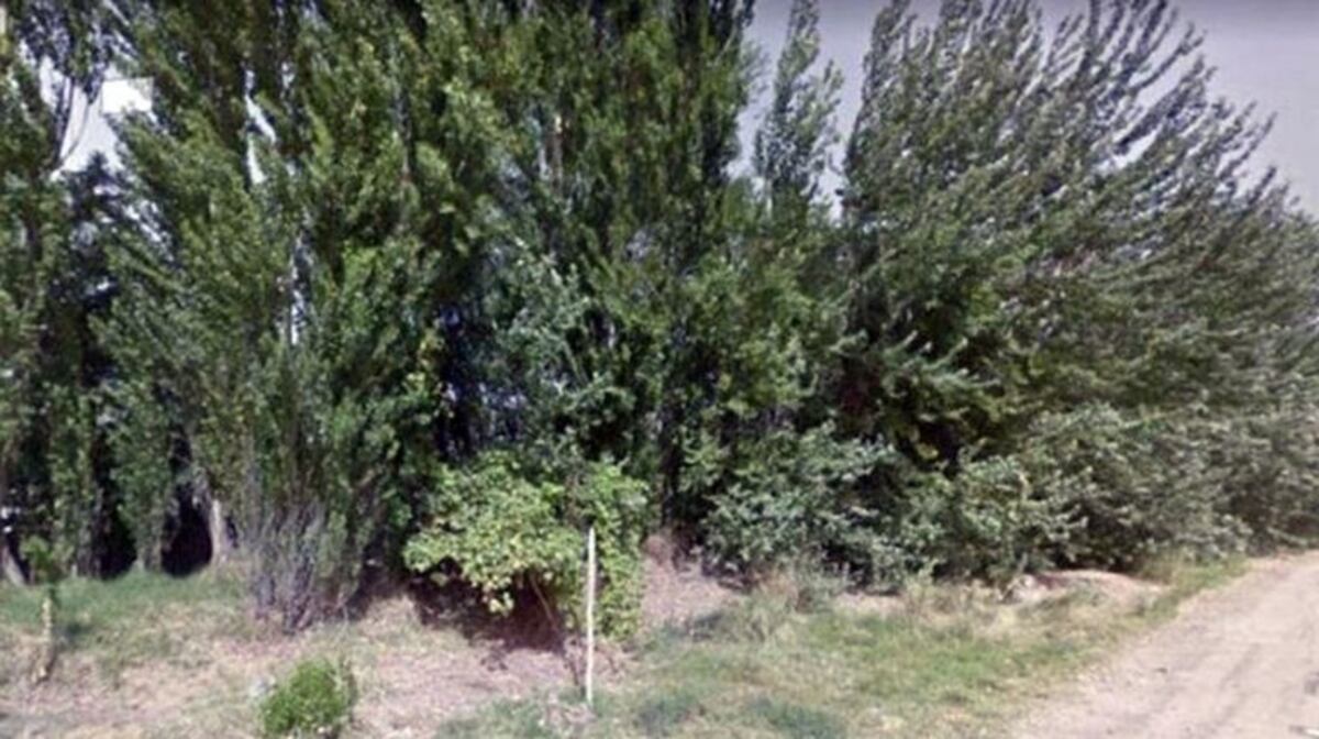 Un hombre violó y amenazó de muerte a su amiga luego de citarla en una plaza en Neuquén