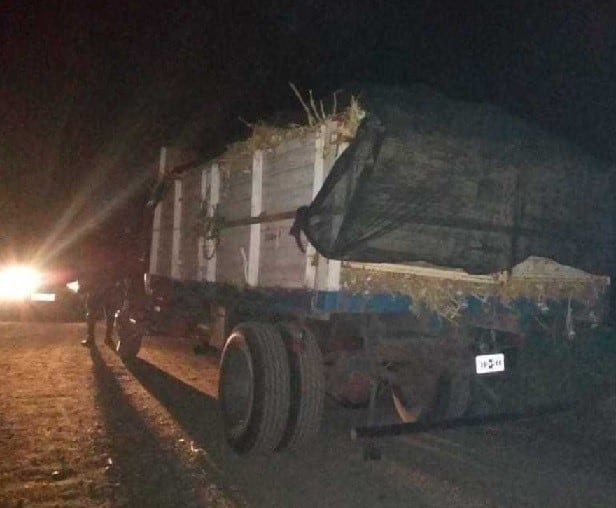 El camión fue interceptado por la Policía Rural con el cargamento de ajo.