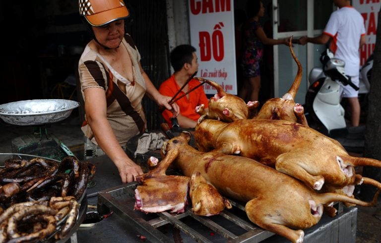 (HOANG DINH Nam / AFP)