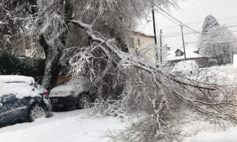 Las intensas nevadas causaron destrozos durante el fin de semana (web).