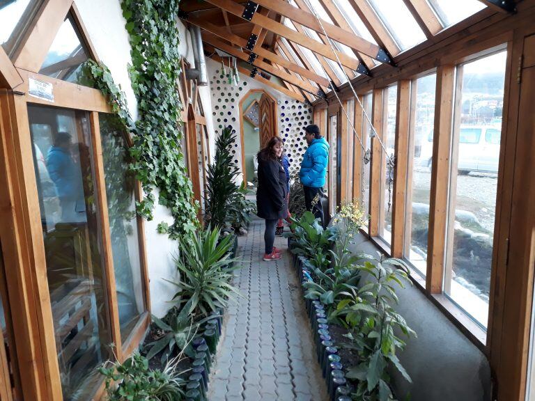 Jardín interno con plantas hidropónicas