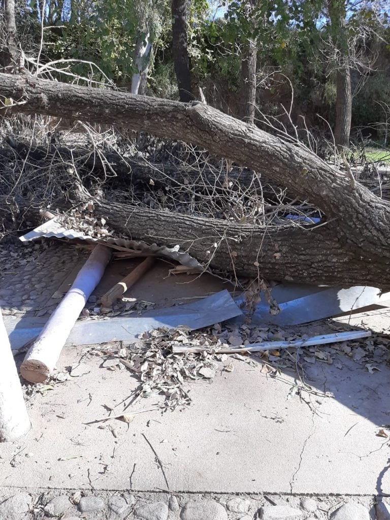 Vandalismo en Camping Río Primero