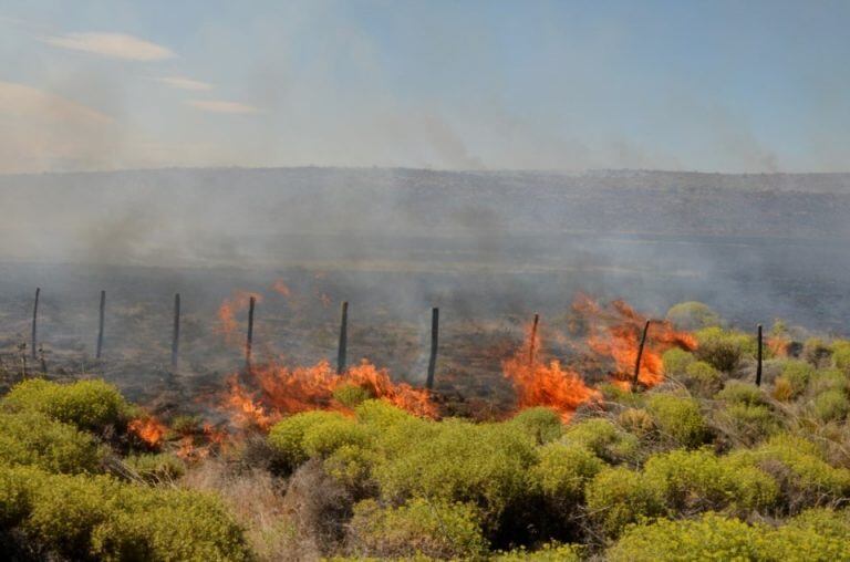 El incendio en Arroyo Pescado está contenido según personal que trabaja en el lugar.