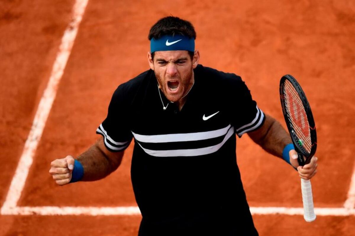 Roland Garros: Del Potro le ganó a Isner y avanzó a cuartos de final