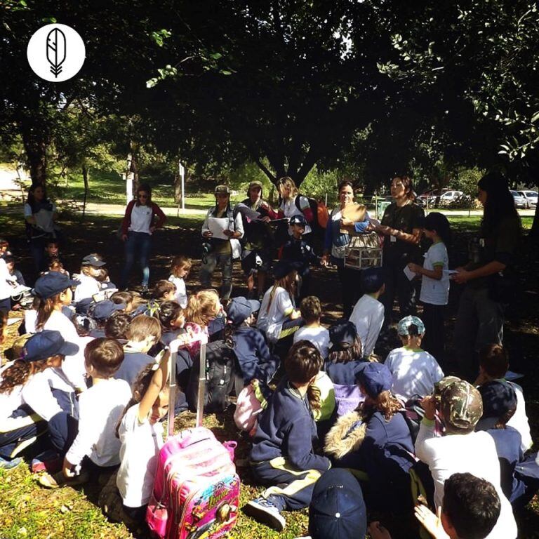 Fundación Mil Aves dio charlas sobre alimentación de aves en colegios.