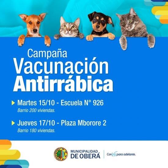 Vacunación antirrábica para mascotas en Oberá.