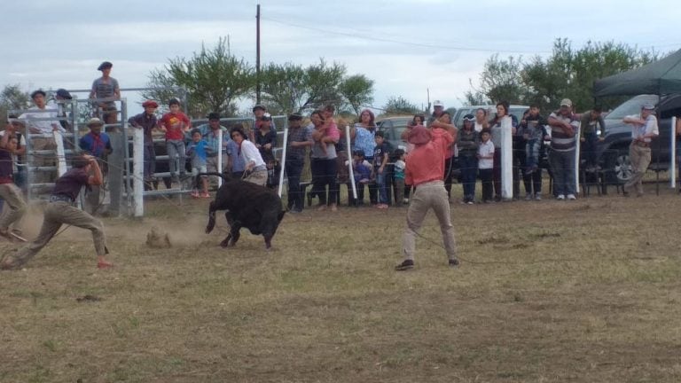 Expo pampa de Pocho