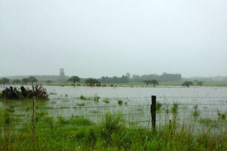 Campo de San José desbordado por el agua.