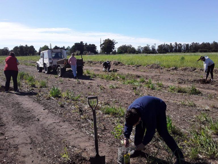 Plantación de Nogales, Grupo Huerta Agroecológica Orense