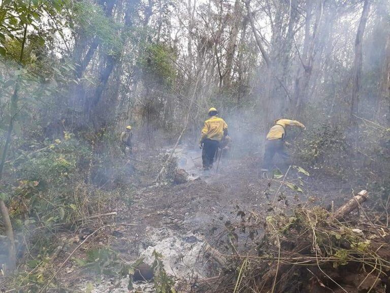 Los brigadistas ingresaron hace varios días al Parque Nacional Calilegua para combatir el fuego que ya afectó más de 13.000 hectáreas.