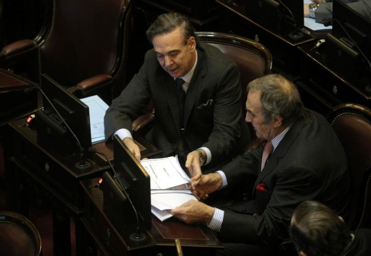 Los senadores Reutemann y Perotti deberán pronunciarse sobre el proyecto del aborto